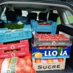 Afbeelding van WhatsApp op 2022-12-04 om 23.56.14
