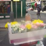 dsc07238_37329469116_o