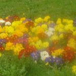 dsc07324_36707204603_o