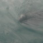 dsc07335_37376968571_o